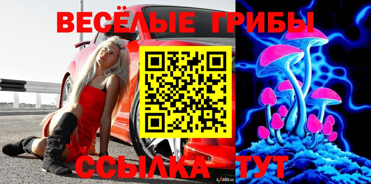Ивантеевка  Галлюциногенные грибы мухоморы  Псилоцибиновые грибы прущие грибы  Вход с VPN 